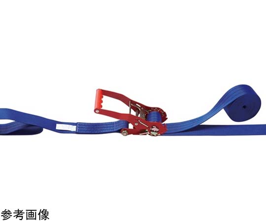 Dây chằng hàng Oecchi LBR803M E60